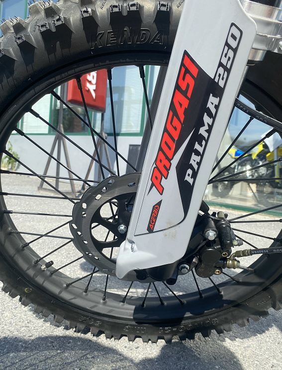 Мотоцикл Progasi PALMA 250SE в Москве Мотоцикл Progasi PALMA 250SE в Москве