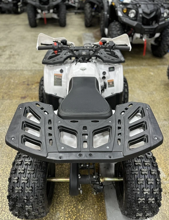 Квадроцикл PROMAX WILD 2.0 190 в Москве