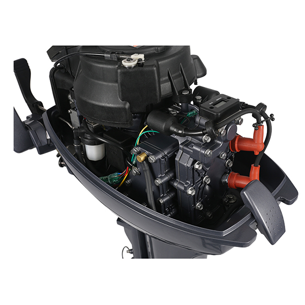 ЛОДОЧНЫЙ МОТОР ALLFA CG Т9,9 в Москве