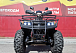 Квадроцикл PROMAX TRX300 CVT в Москве