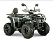 Квадроцикл YACOTA DRAGON LUX LD 150 PRO-SPORT в Москве