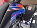 Квадроцикл PROMAX RAPTOR 300 NEW RedBull в Москве