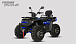 Квадроцикл PROMAX TAURUS 300 MAX-PRO LONG в Москве