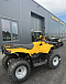 КВАДРОЦИКЛ IRBIS ATV 250  в Москве