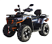 Квадроцикл MOTOLAND (МОТОЛЕНД) 300 MAX X в Москве