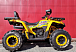 Квадроцикл PROMAX STORM 280 LUX в Москве