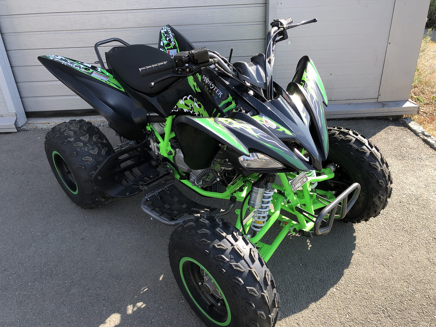 Квадроцикл PROMAX RAPTOR 300 NEW Monster в Москве