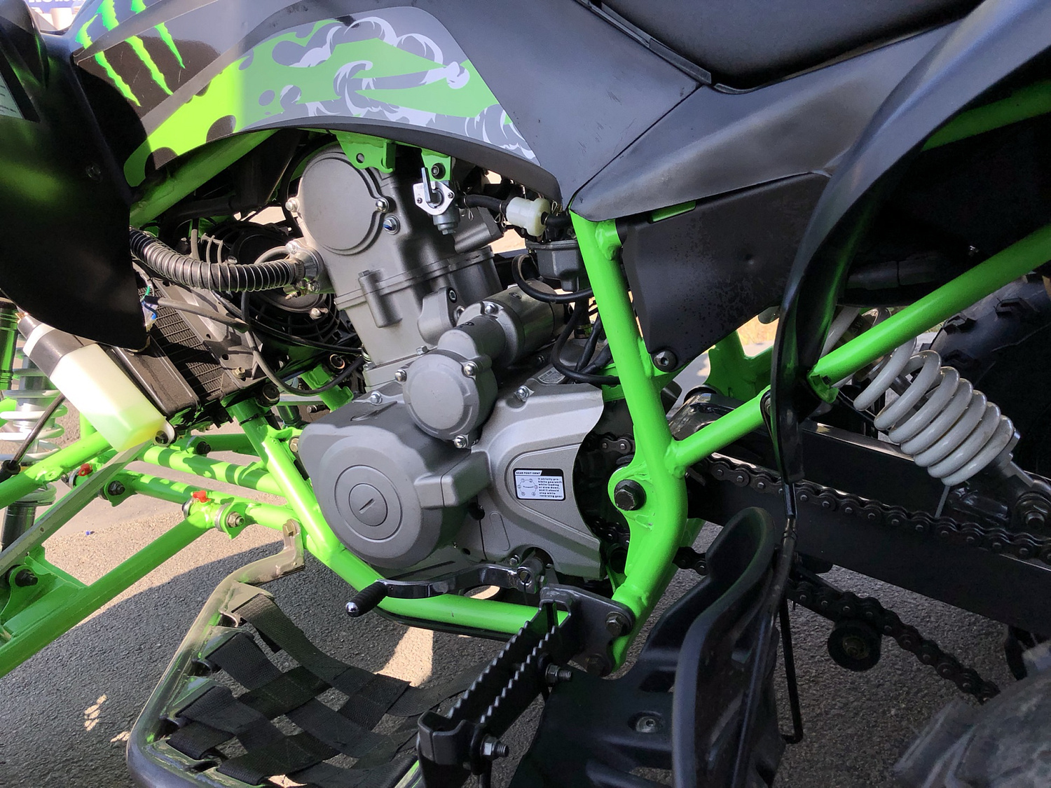 Квадроцикл PROMAX RAPTOR 300 NEW Monster в Москве