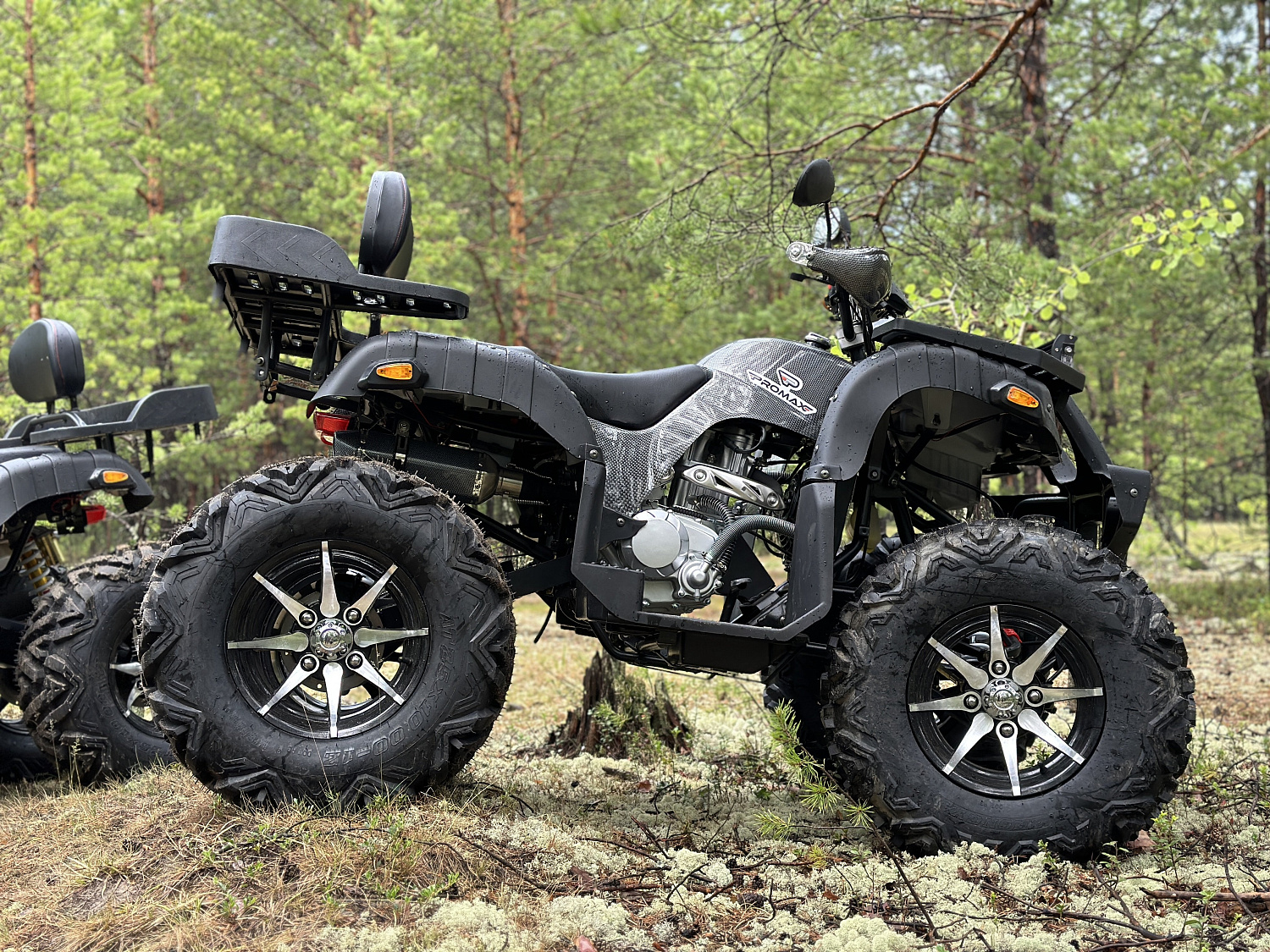 Квадроцикл PROMAX 320 DOMINATOR PRO (2025) в Москве