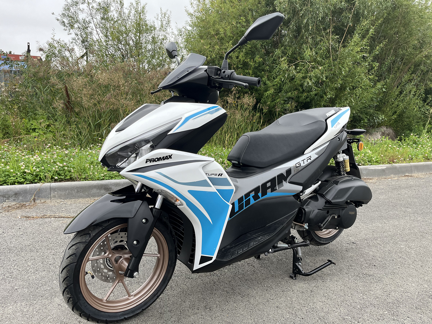 Скутер PROMAX TURAN 250 (49) в Москве