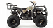 Квадроцикл MOTOLAND (МОТОЛЕНД) 200 ALL ROAD в Москве