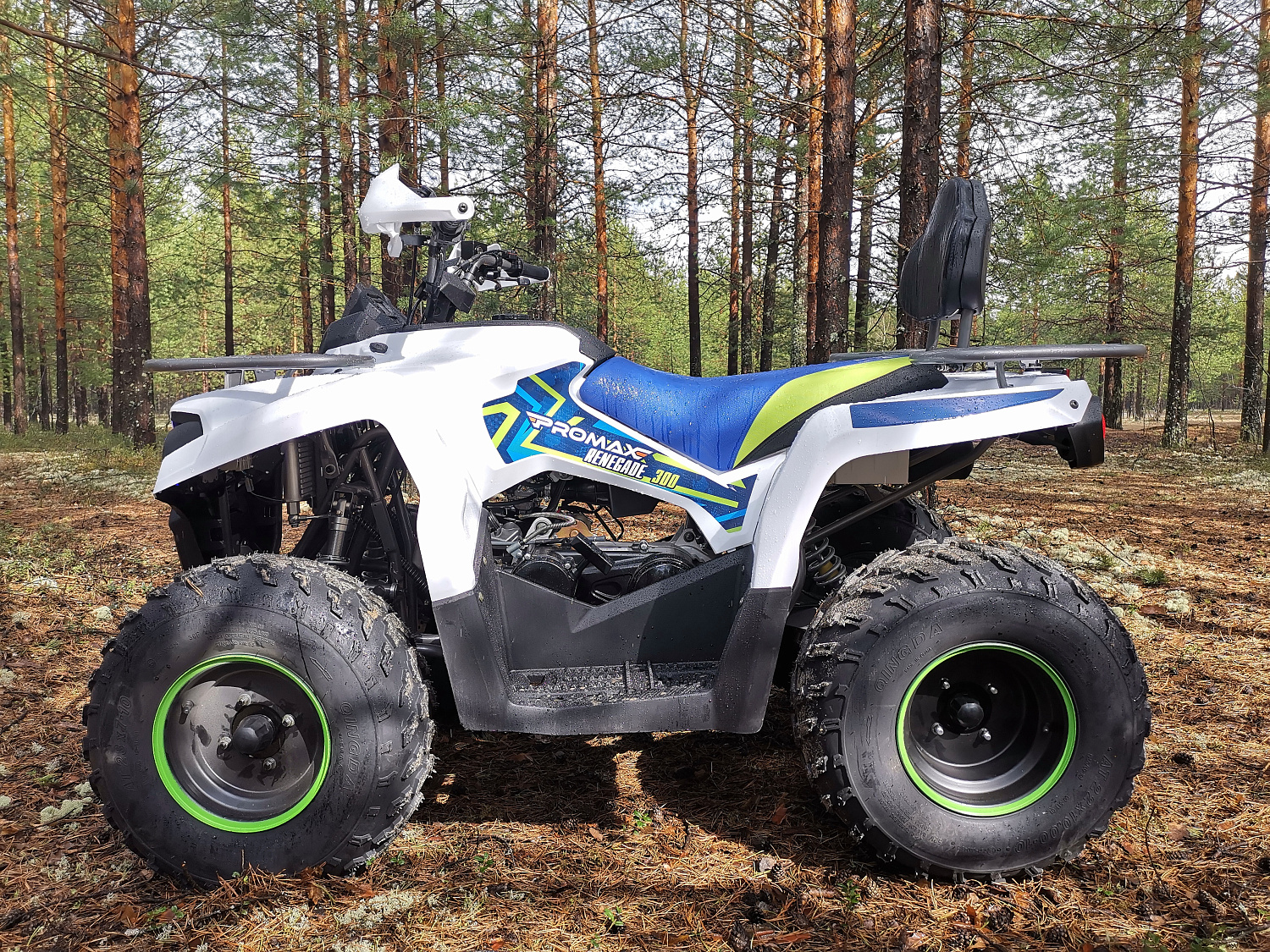 Квадроцикл PROMAX RENEGADE 280 (2025) в Москве