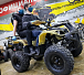 Квадроцикл PROMAX ATV 250 (2025) в Москве