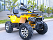 Квадроцикл MOTOLAND (МОТОЛЕНД) VOX200 WILD TRACK X PRO (баланс. вал) в Москве