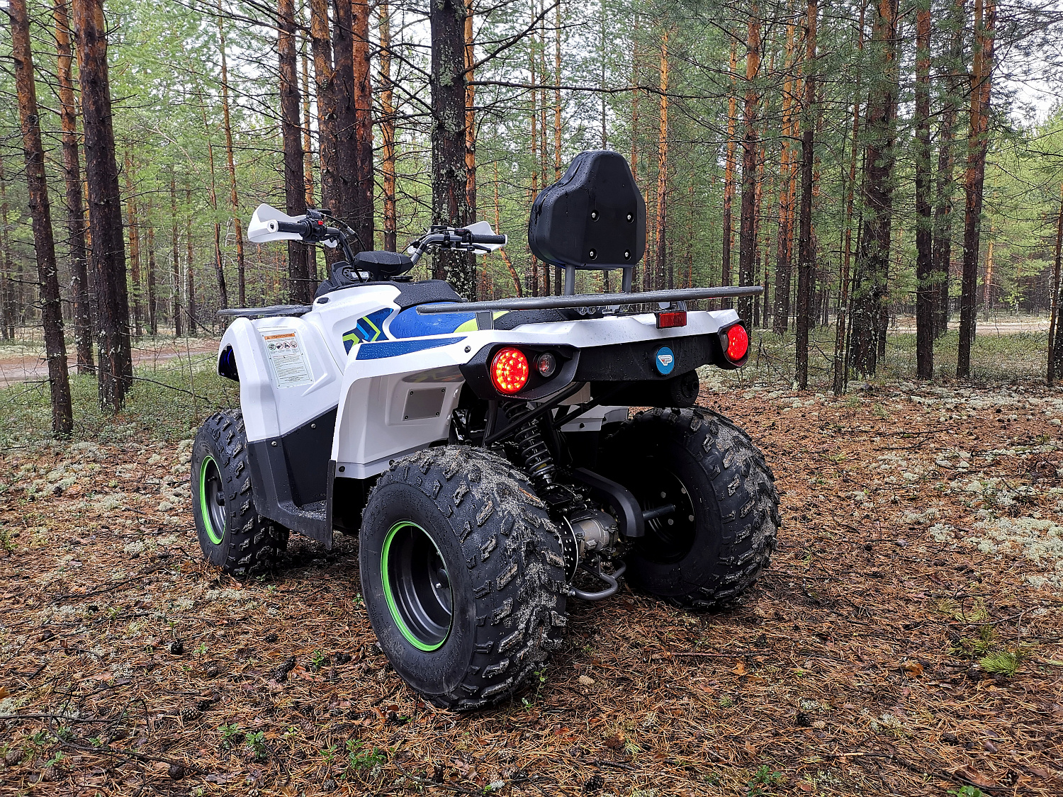 Квадроцикл PROMAX RENEGADE 280 (2025) в Москве
