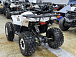 Квадроцикл PROMAX WILD 2.0 190 LUX в Москве