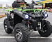 Квадроцикл PROMAX RENEGADE 280 WINCH PRO (2025) в Москве