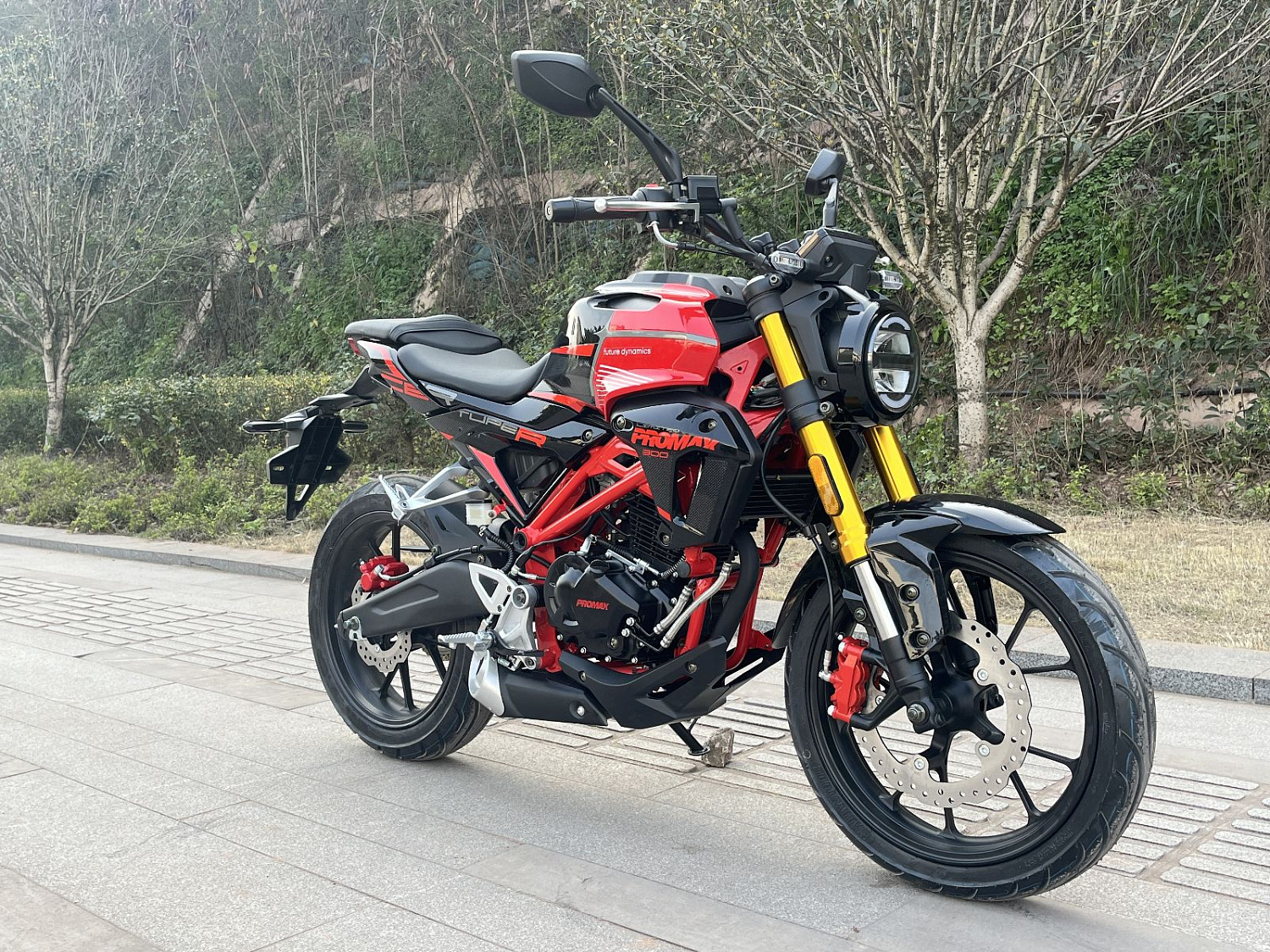 Мотоцикл PROMAX CB300RL (4V, 6G) в Москве Мотоцикл PROMAX CB300RL (4V, 6G) в Москве