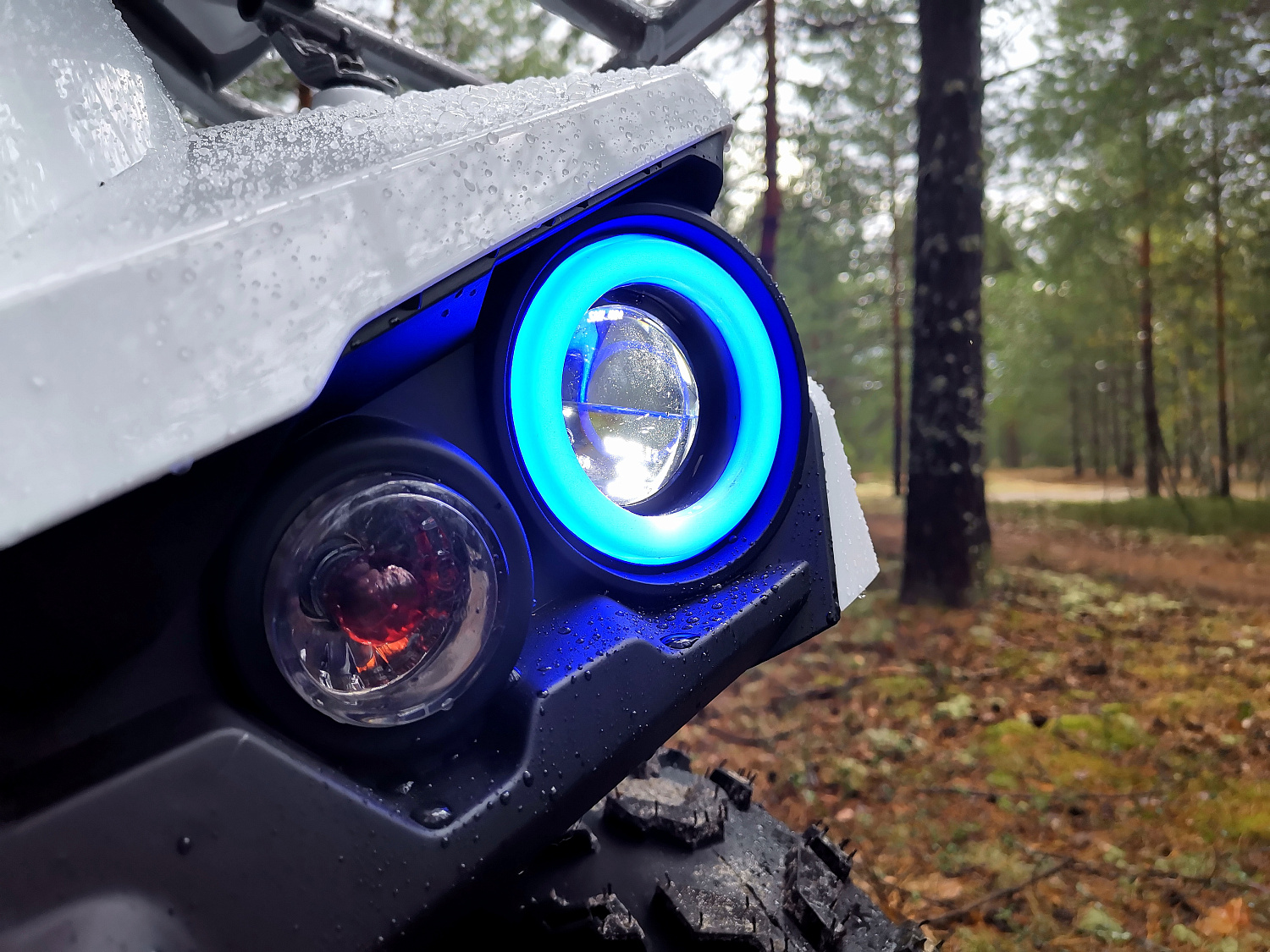 Квадроцикл PROMAX RENEGADE 280 (2025) в Москве