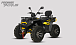 Квадроцикл PROMAX TAURUS 300 MAX-PRO LONG в Москве